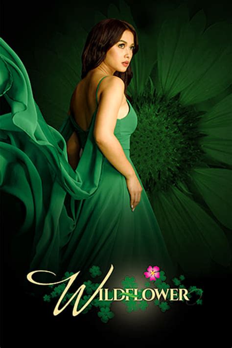 Wildflower (TV Series 2017.